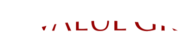 バリューGR株式会社
